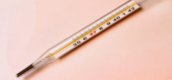 Test de Liderazgo: ¿Sos estufa, ventilador o termostato?